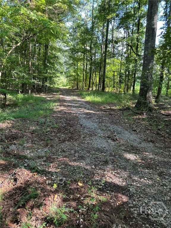 0 Fears Rd unit CL344239, Madison, GA 30650 - photo 5