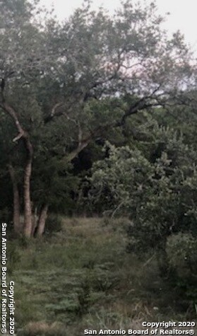 8830 Falcon Place, San Antonio, TX 78256 - photo 7