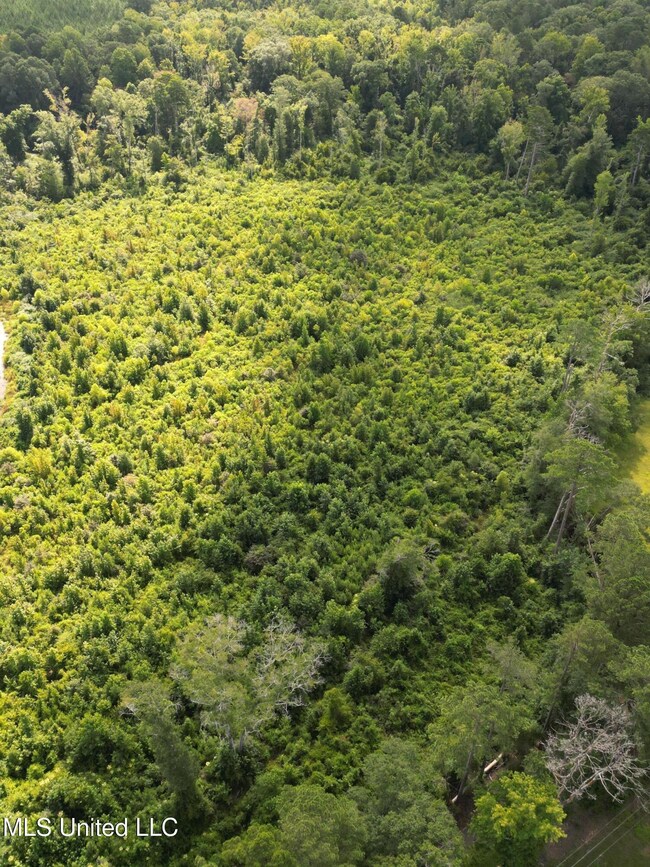 00 Johns Shiloh Rd, Brandon, MS 39042 - photo 7