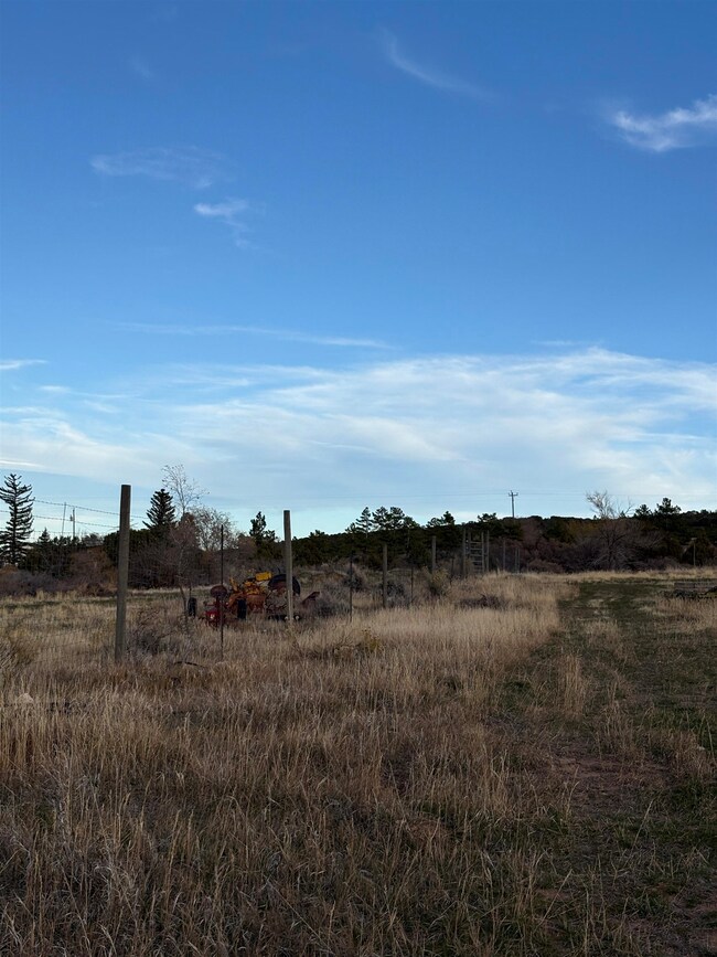 245 County Road 338, Parachute, CO 81635 - photo 7