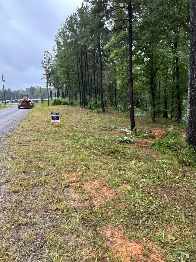 0 Shoreside Dr, Double Springs, AL 35553 - photo 5