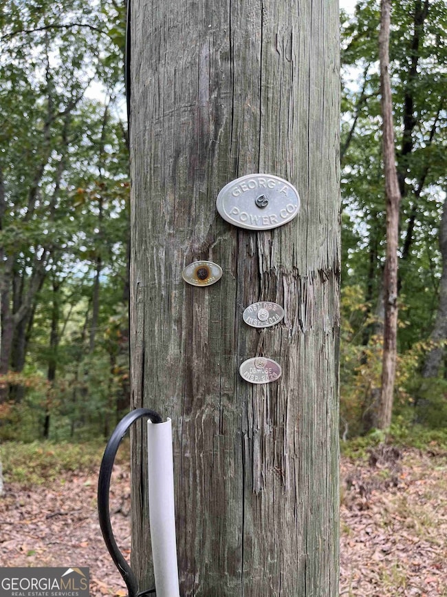 32 Antler Ct unit 2, Ranger, GA 30734 - photo 4