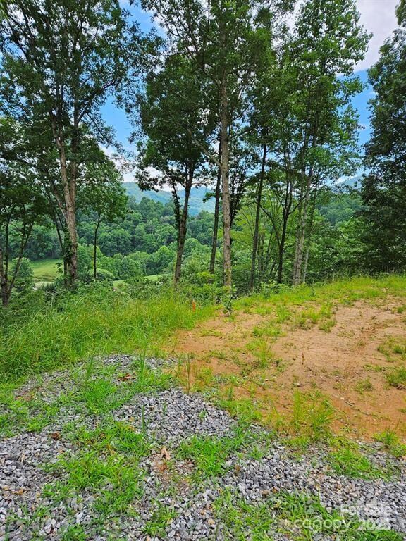 97 Junebug Trail, Waynesville, NC 28785 - photo 6