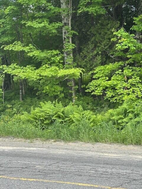 3-3-A Avenue Rd, Corinth, ME 04427 - photo 6