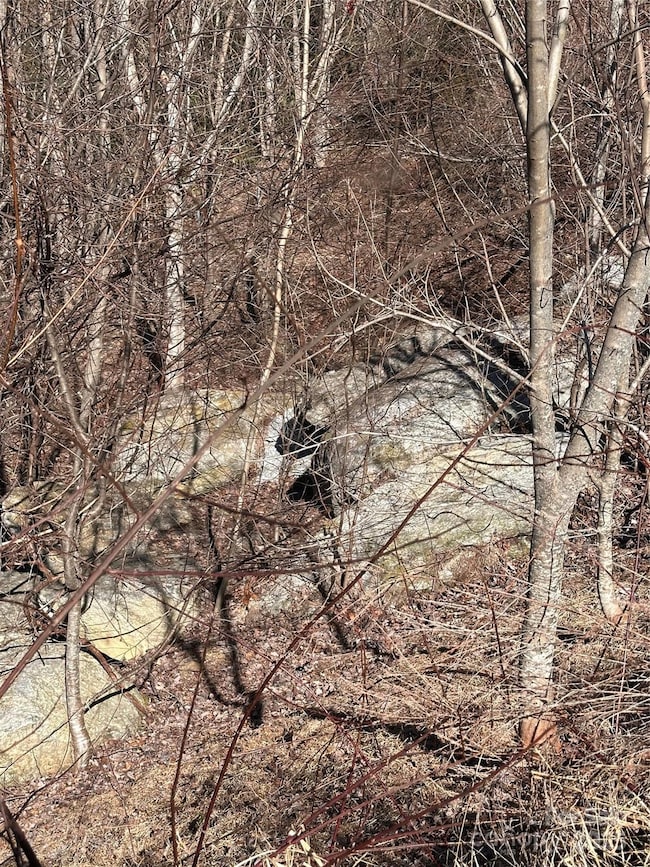 0 Winding Ridge unit 158 CAR4230713, Lake Lure, NC 28746 - photo 5