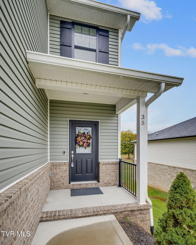 35 Palmetto Ct, Gray, TN 37615 - photo 5