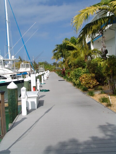 Boardwalk in front of the dockage