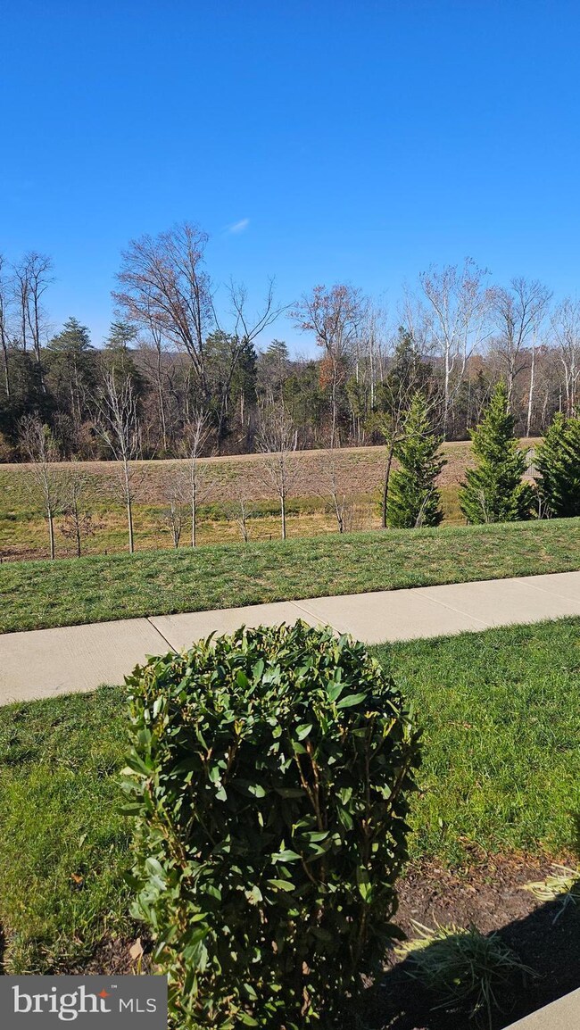 6047 Camerons Ferry Dr, Haymarket, VA 20169 - photo 4