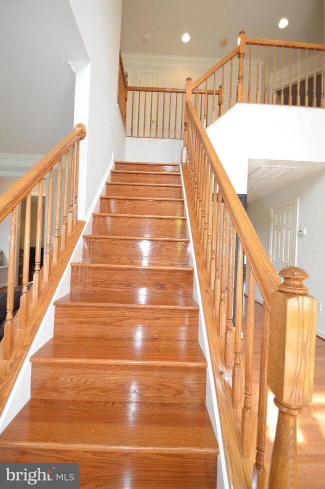 42084 Porch Light Dr, Aldie, VA 20105 - photo 4