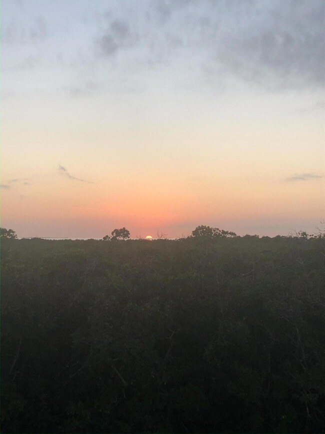 seller photo of sunset