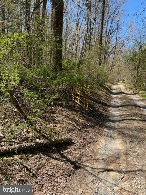 471 Buckhorn Rd, Sykesville, MD 21784 - photo 5