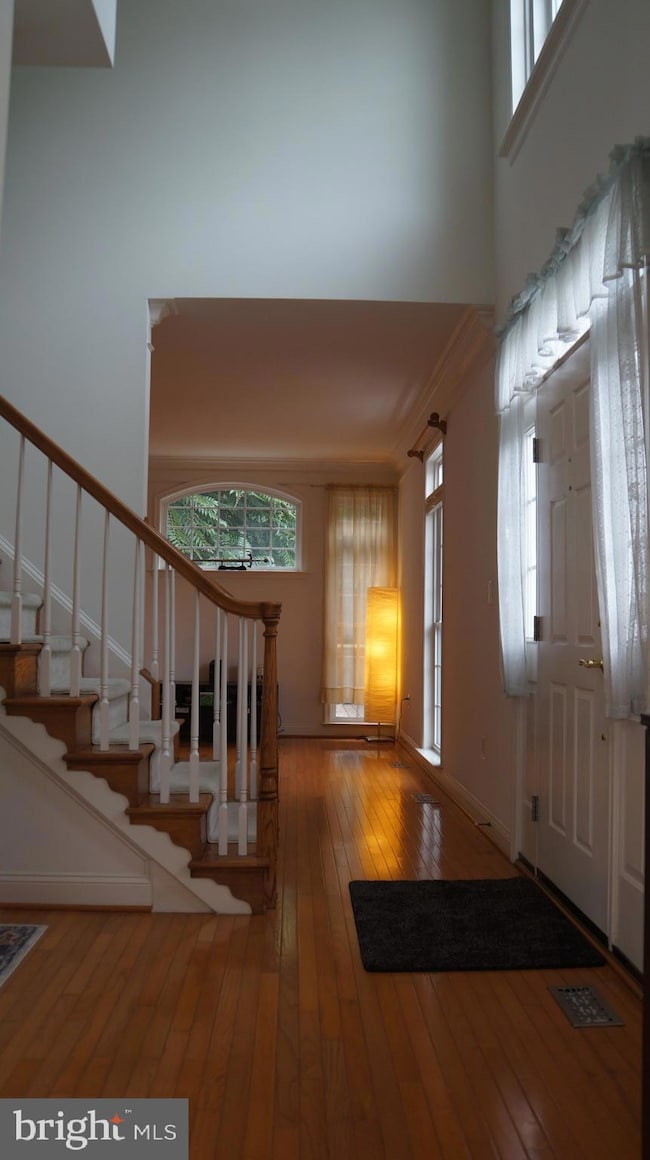 9979 Cyrandall Dr, Oakton, VA 22124 - photo 3