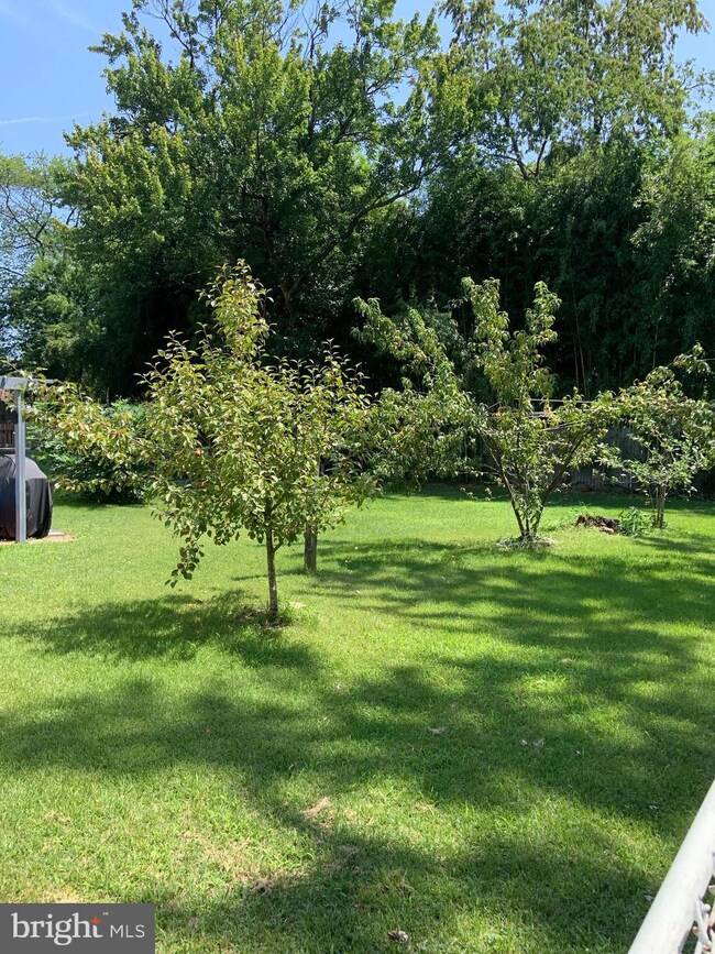 11 Gere Terrace, Cherry Hill, NJ 08002 - photo 4