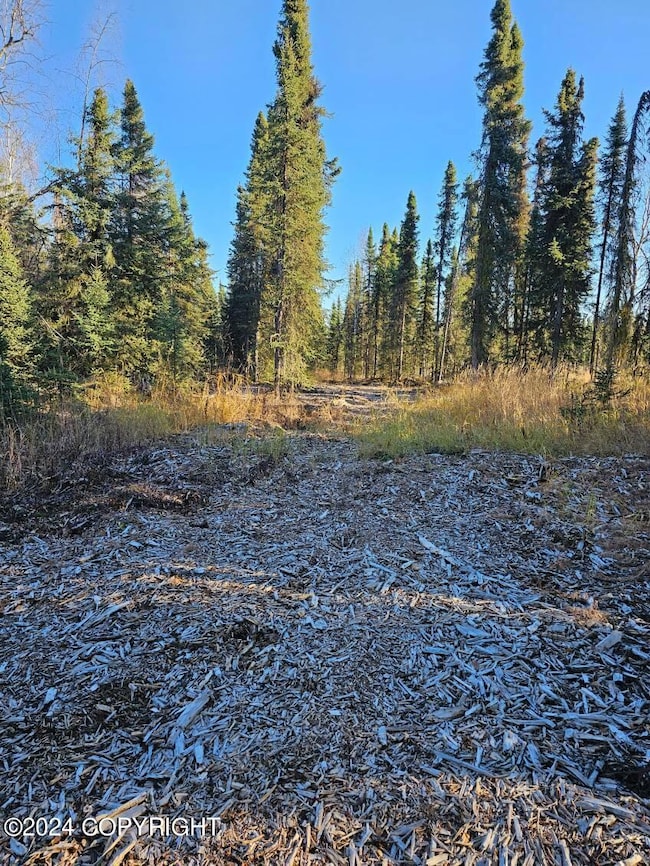 L3 Erlwein Cir, Sterling, AK 99669 - photo 5