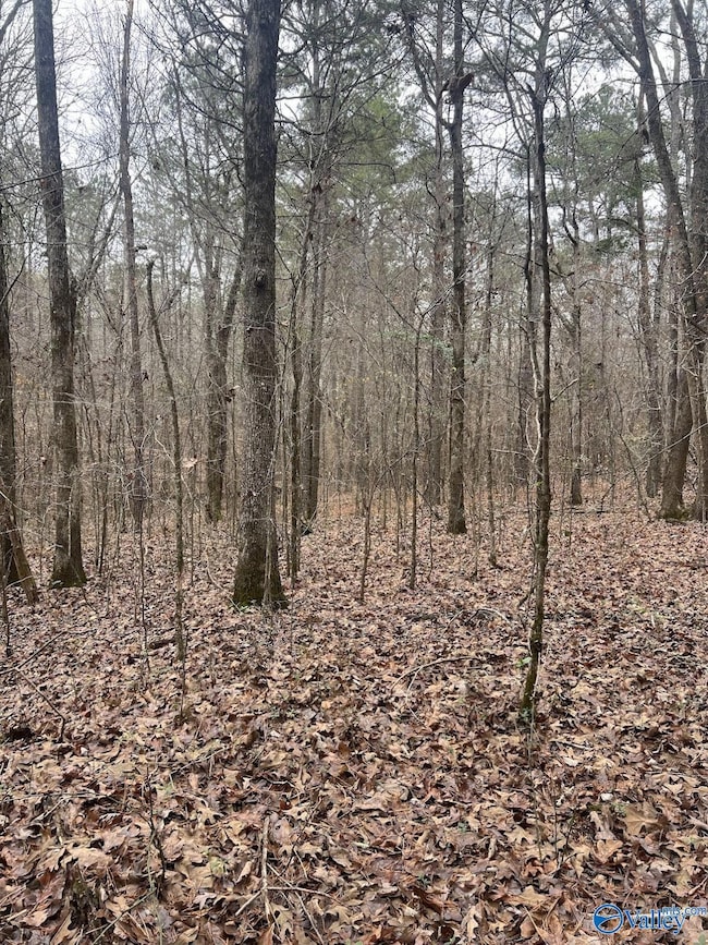 123 Hitt Rd, Decatur, AL 35603 - photo 7