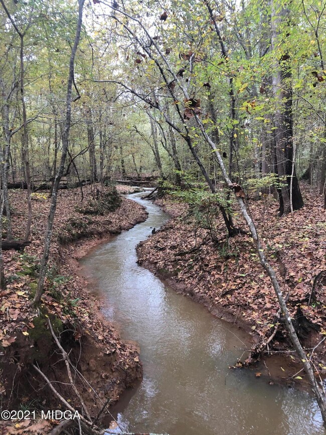 Lot 13 Jenkins Rd, Forsyth, GA 31029 - photo 7