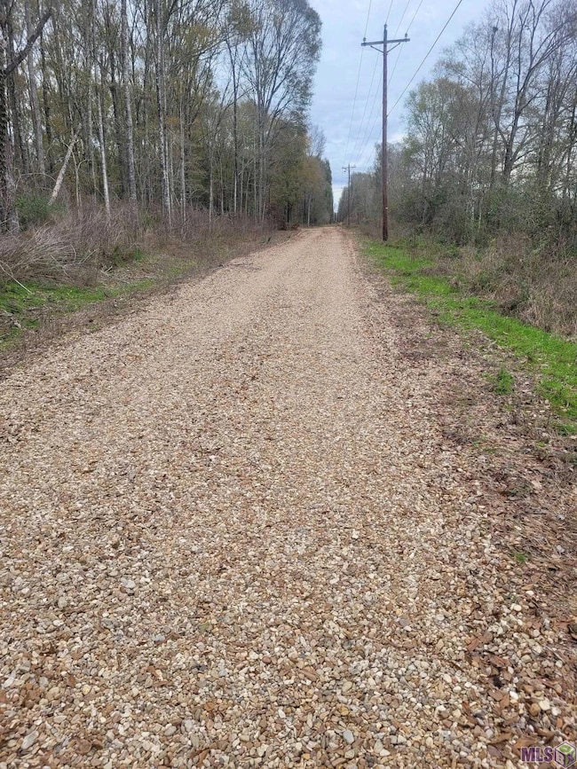 10851 Hidden Cypress Ct, Central, LA 70714 - photo 2