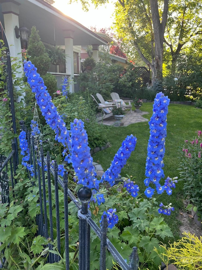 201 10th Ave N, Twin Falls, ID 83301 - photo 5