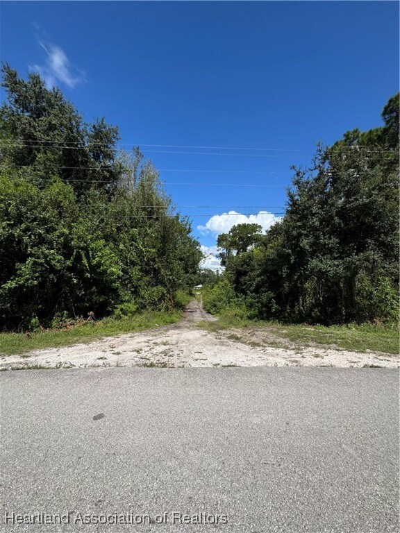 427 Washington Blvd, Lake Placid, FL 33852 - photo 4