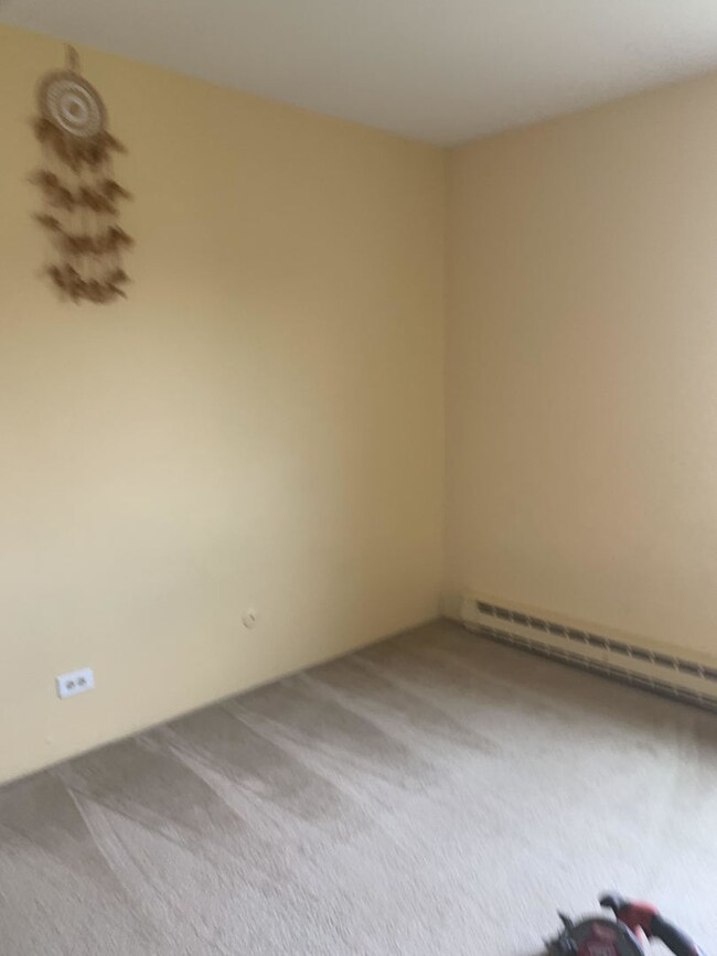 535 W Lies Rd unit 5-A, Carol Stream, IL 60188 - photo 5