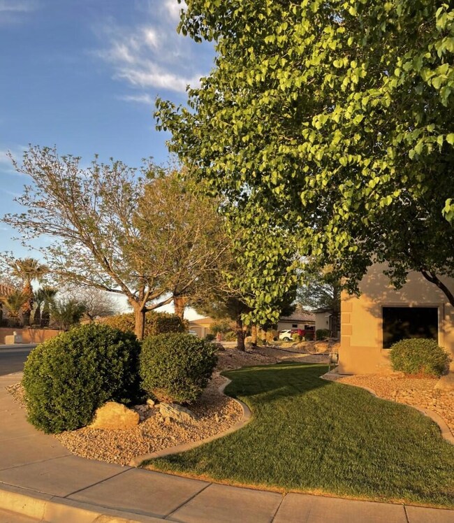 Mature landscaping