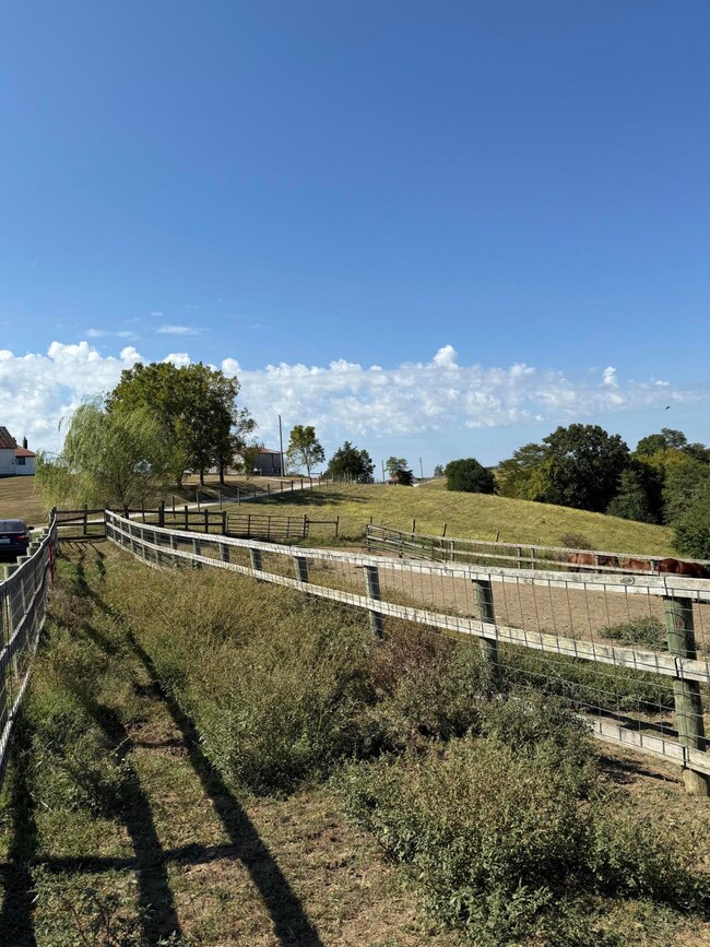 23Ac Olive Branch Rd, Ewing, KY 41041 - photo 5