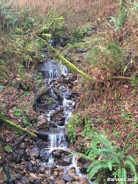 8441 Highway 126, Florence, OR 97439 - photo 7