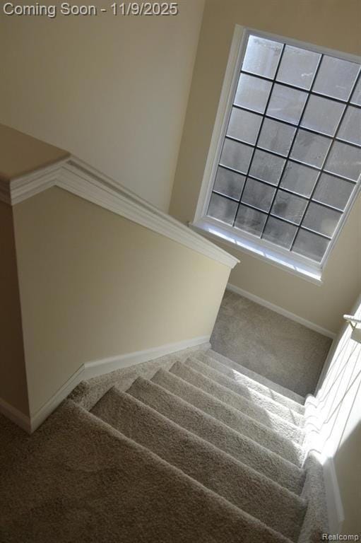 3152 Promenade Cir unit 53, Ann Arbor, MI 48108 - photo 7