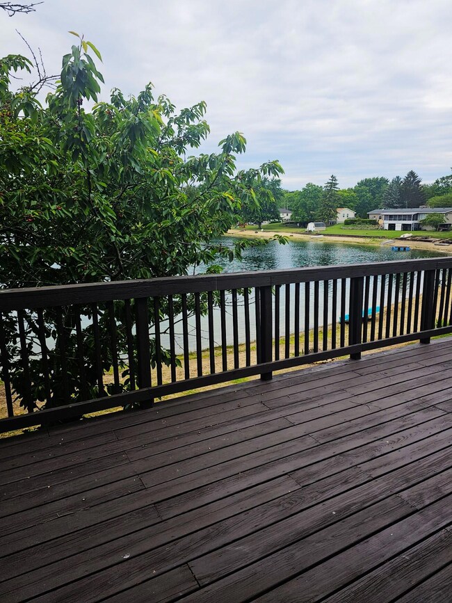 view from patio