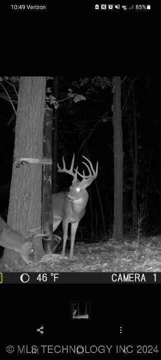 65311 Chaffin Ridge Rd, Proctor, OK 74457 - photo 2