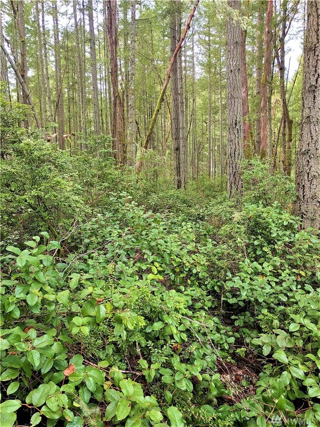 8904 126th Av Ct, Anderson Island, WA 98303 - photo 2