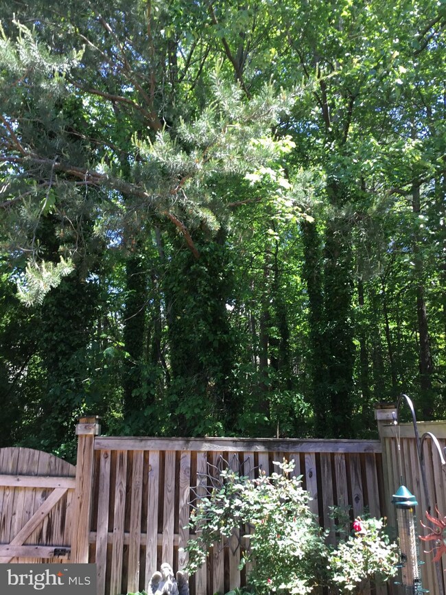 11765 Great Owl Cir, Reston, VA 20194 - photo 7