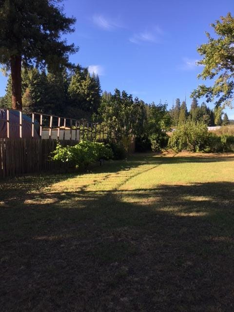 265 Orchard Way, Myers Flat, CA 95554 - photo 4