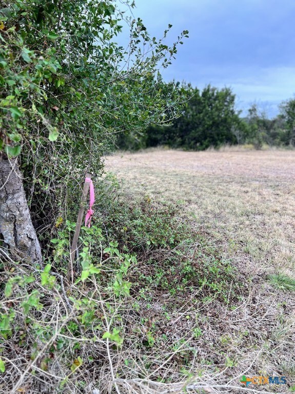 TBD LOT 2 Farm To Market Road 183, Gatesville, TX 76528 - photo 2