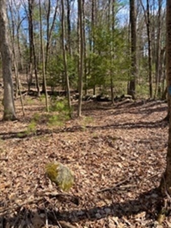 279 Holland Rd, Sturbridge, MA 01518 - photo 4