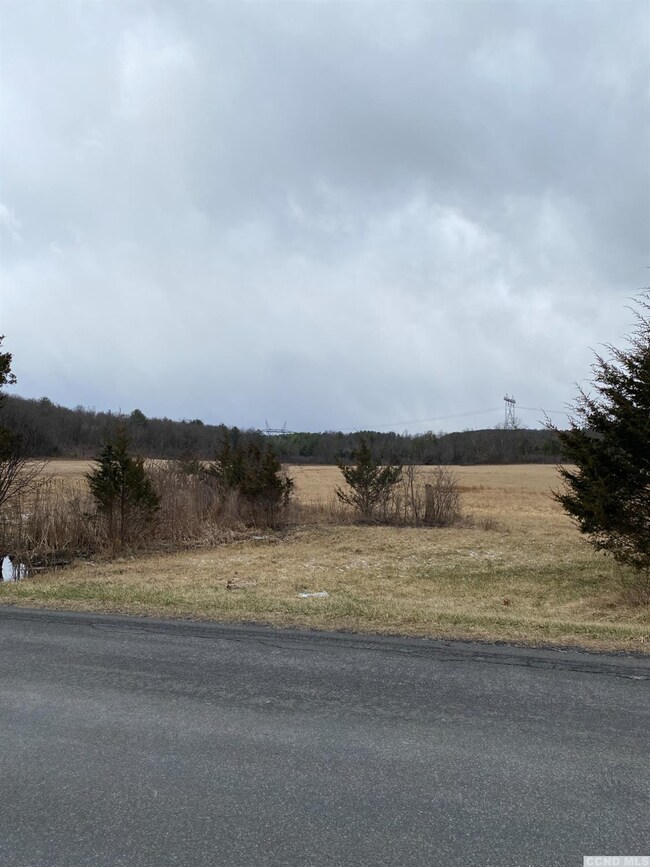 0 Schoharie Turnpike unit 141385, Athens, NY 12015 - photo 6