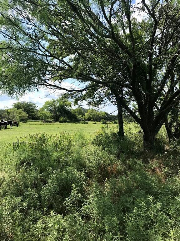 1800 Cottondale Rd, Springtown, TX 76082 - photo 5