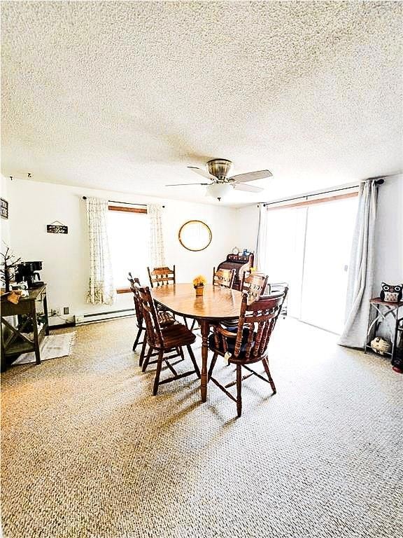 1508 Red Fox Rd, Climax Springs, MO 65324 - photo 7