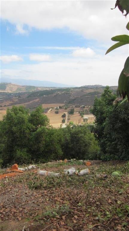 11200 Berry Rd, Valley Center, CA 92082 - photo 7