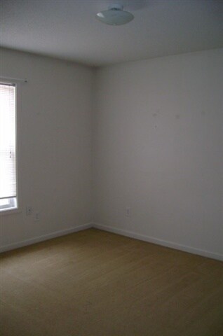 243 Lakewood Dr, Jacksonville, NC 28546 - photo 5