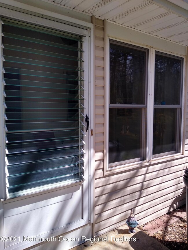 Storm door