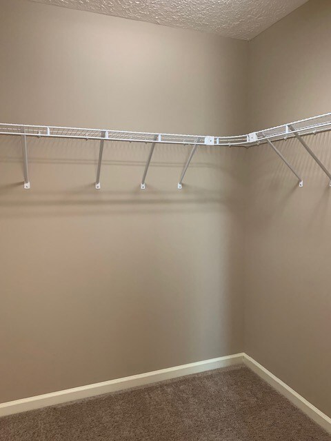 137 Hunt St, Manchester, TN 37355 - photo 6