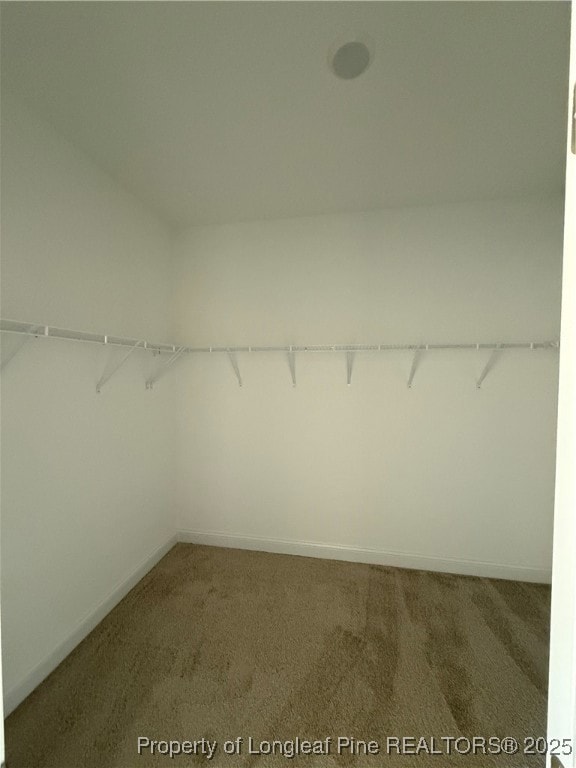 2641 N Carolina 20, Saint Pauls, NC 28384 - photo 7