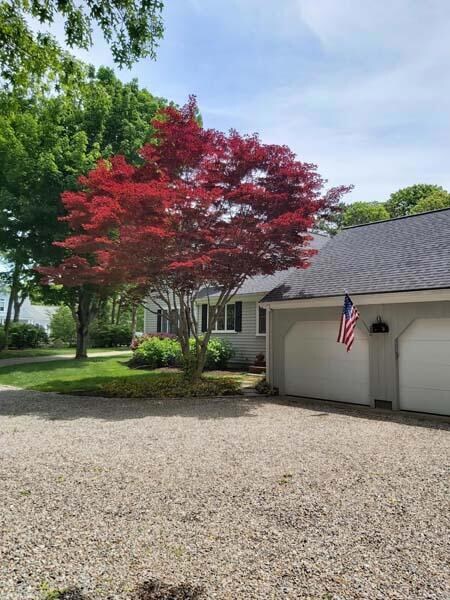 89 Narrows Way, Cotuit, MA 02635 - photo 5