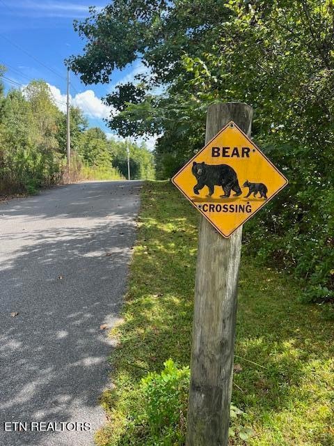 Watch for bears!