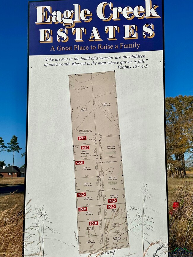 178 Eagle Creek Dr, Diana, TX 75640 - photo 7