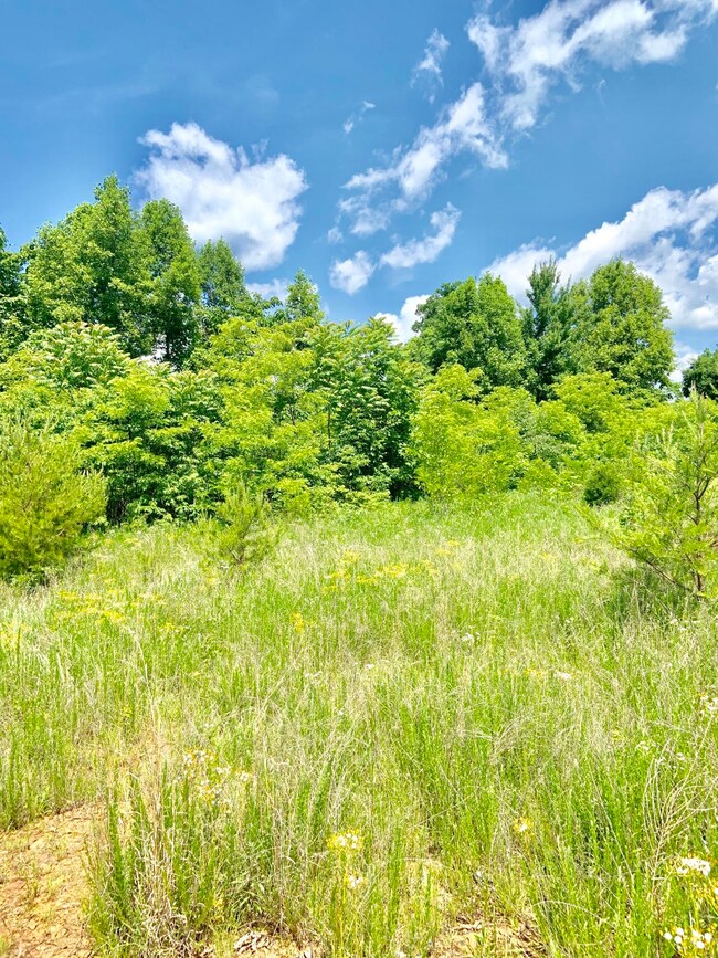 9F592CDD-0A4C-419C-ADCF-E175A99F3066