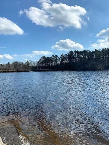 20190207171006474189000000-o