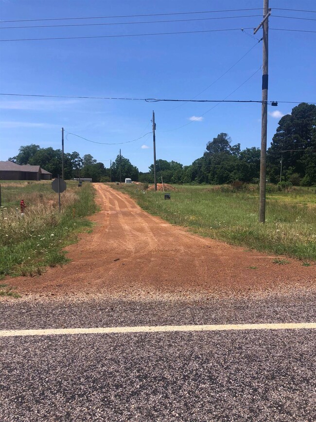 TBD Meadow Ln, Naples, TX 75568 - photo 3