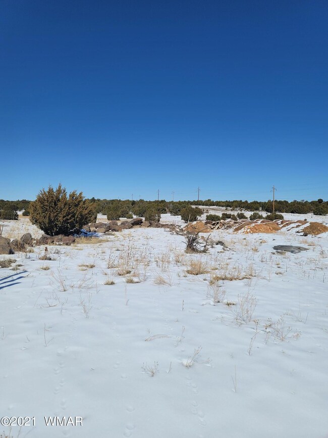 2350 N 16th St, Show Low, AZ 85901 - photo 2